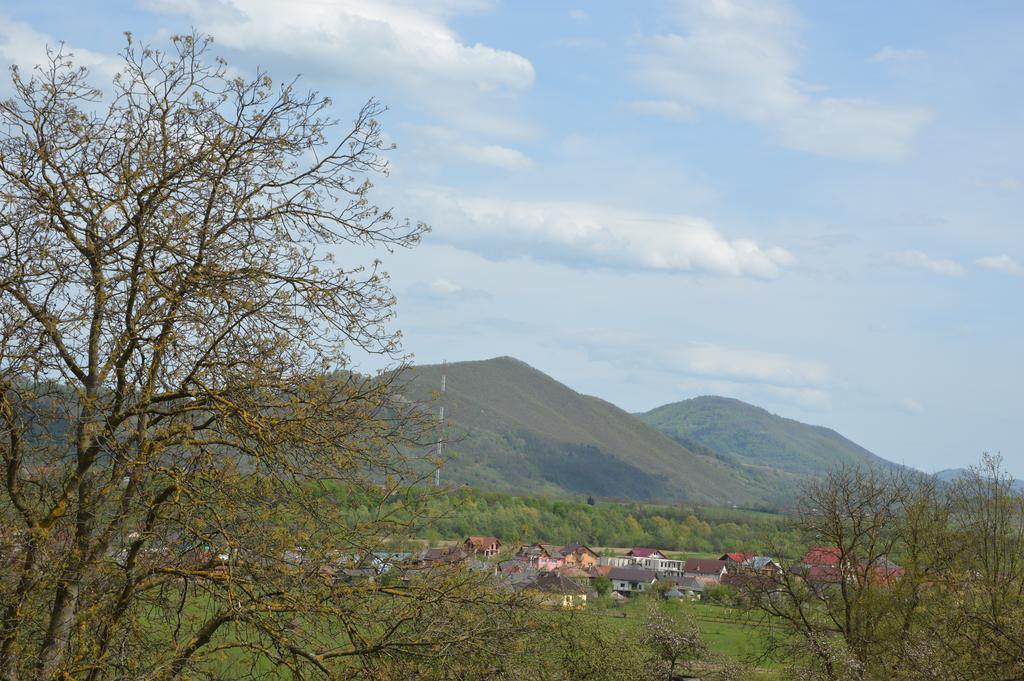 Pensiunea Agroturistica Raluca Vadu Izei Exterior foto