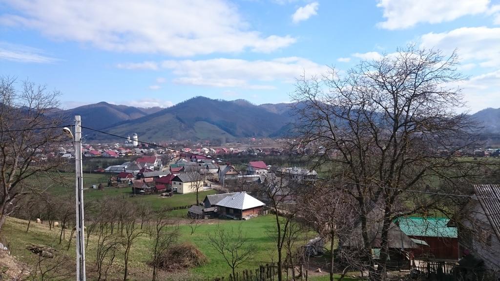 Pensiunea Agroturistica Raluca Vadu Izei Exterior foto