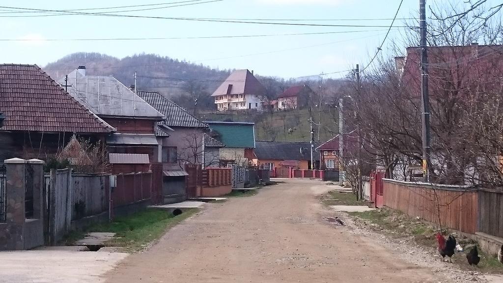 Pensiunea Agroturistica Raluca Vadu Izei Exterior foto