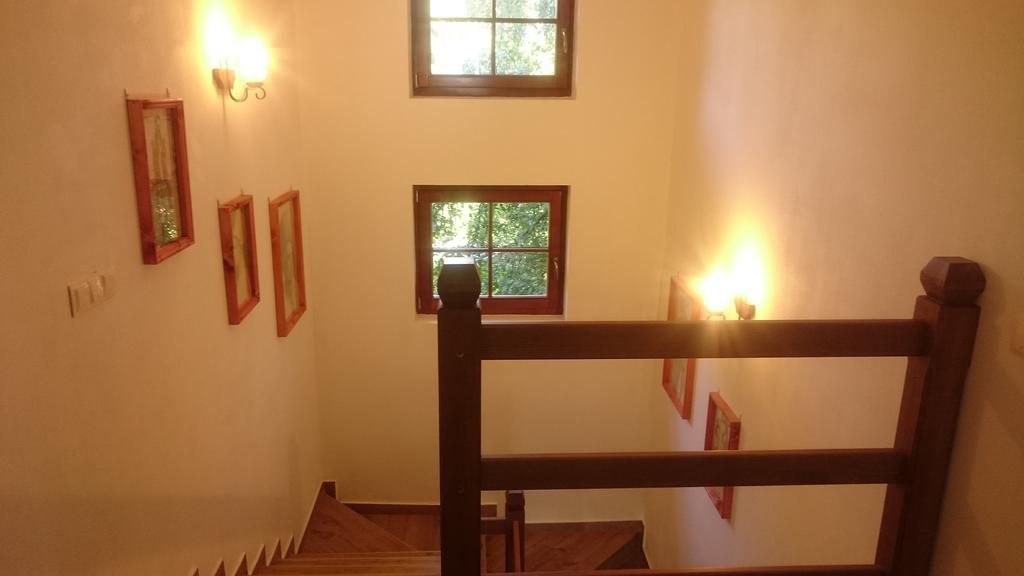 Pensiunea Agroturistica Raluca Vadu Izei Exterior foto