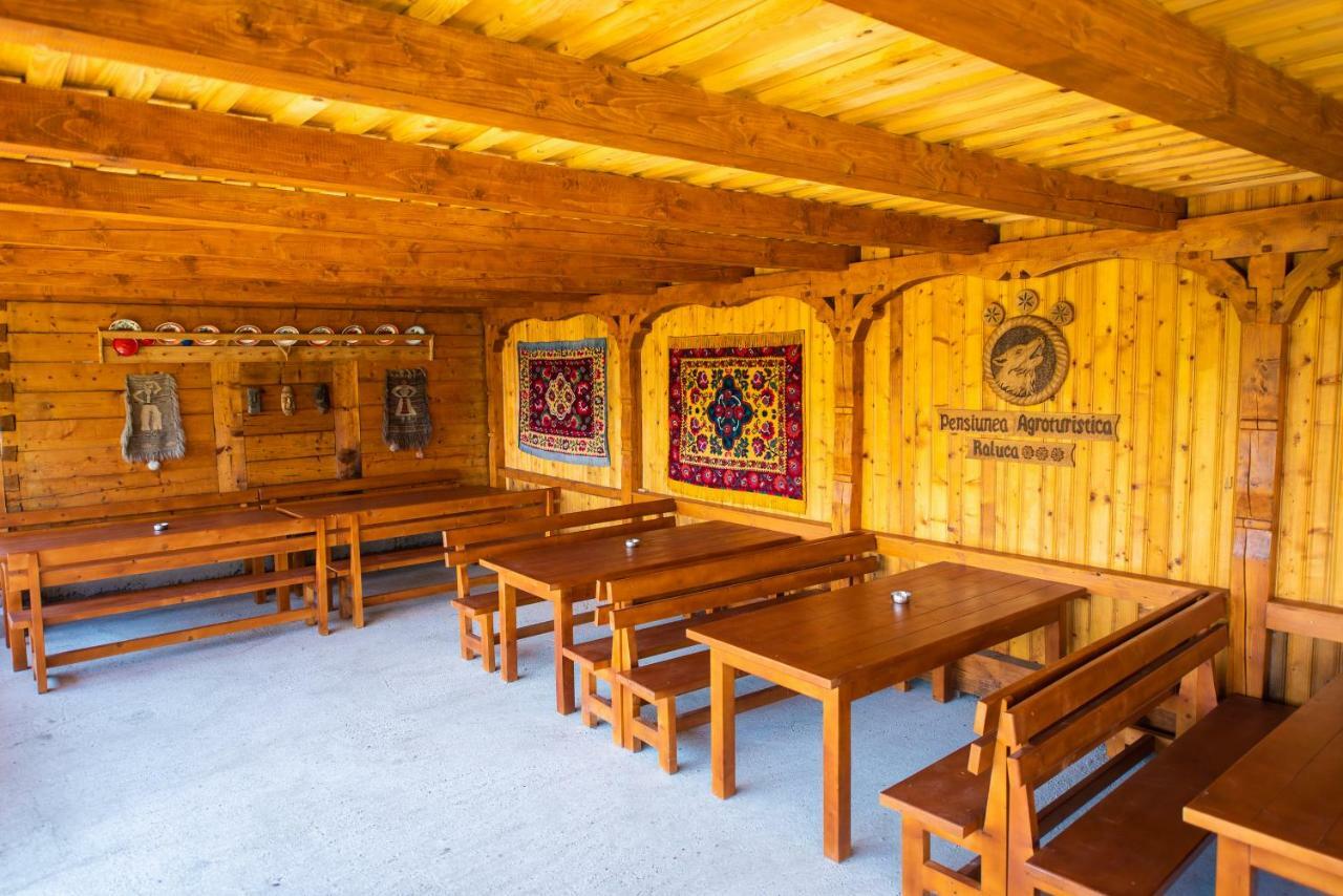 Pensiunea Agroturistica Raluca Vadu Izei Exterior foto
