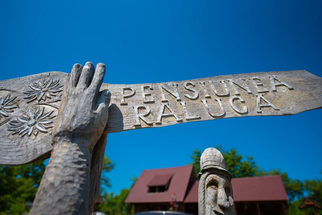 Pensiunea Agroturistica Raluca Vadu Izei Exterior foto