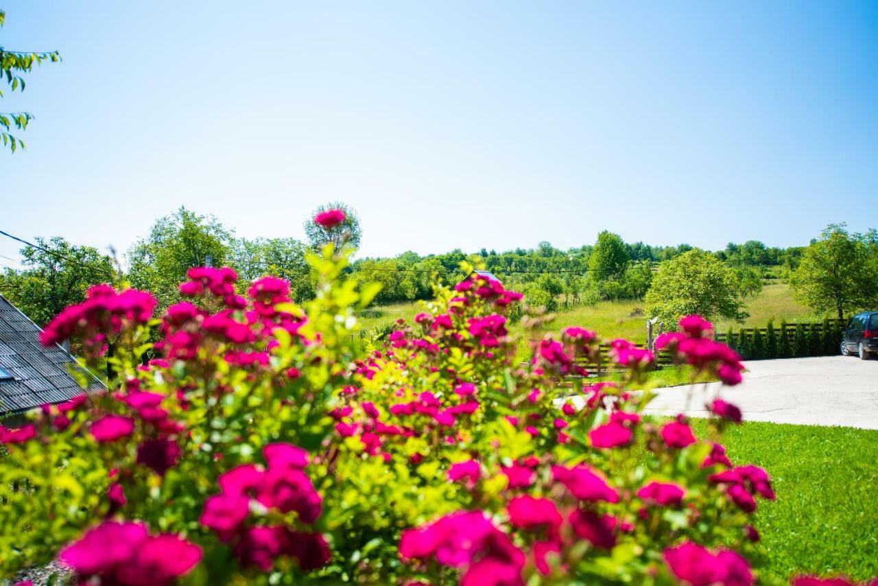 Pensiunea Agroturistica Raluca Vadu Izei Exterior foto